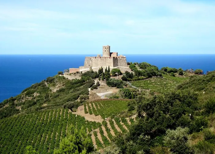 Les Hauts De Port Vendres