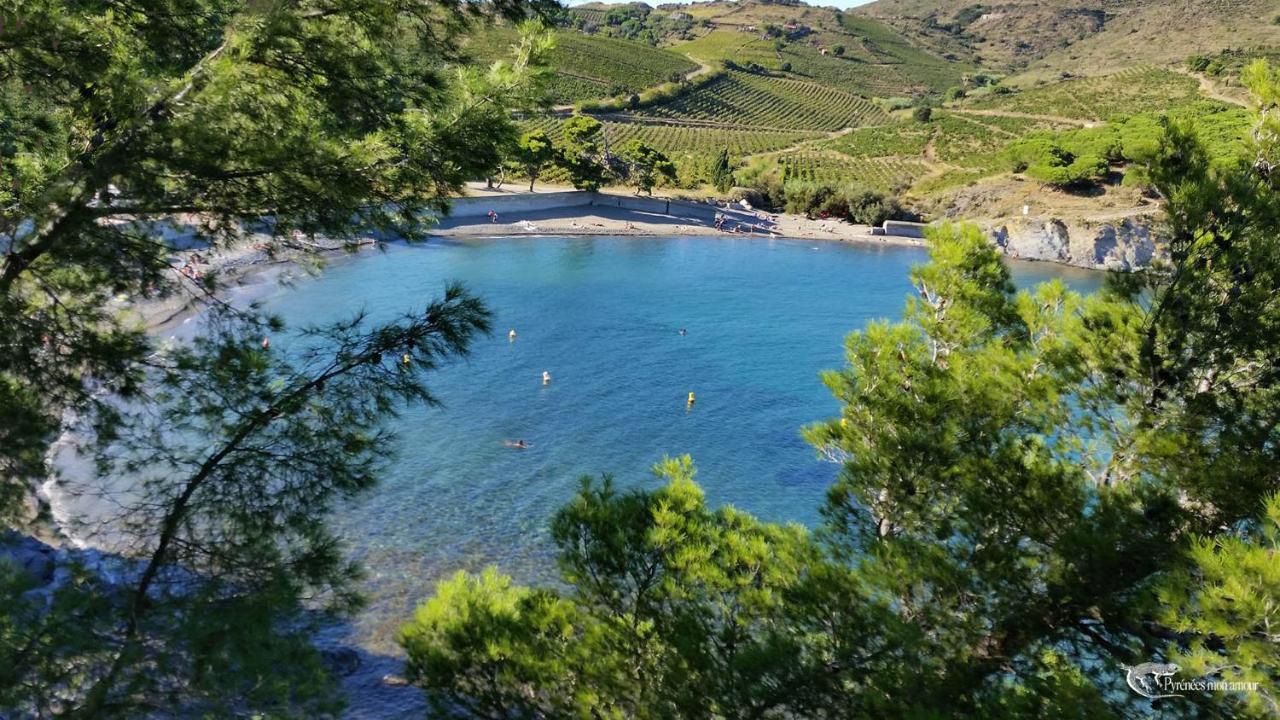 Apartment Les Hauts De Port Vendres
